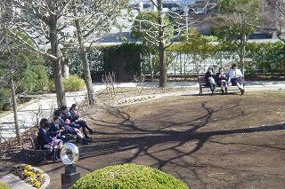 ケヤキ広場